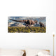 Tyrannosaurus Rex and Triceratops 2 Wall Decal
