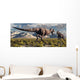 Tyrannosaurus Rex and Triceratops 2 Wall Decal