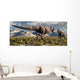 Tyrannosaurus Rex and Triceratops 2 Wall Decal