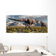 Tyrannosaurus Rex and Triceratops 2 Wall Decal