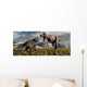 Tyrannosaurus Rex and Triceratops 1 Wall Decal