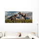 Tyrannosaurus Rex and Triceratops 1 Wall Decal