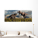 Tyrannosaurus Rex and Triceratops 1 Wall Decal