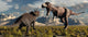 Tyrannosaurus Rex and Triceratops 1 Wall Decal