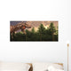 Profile Carnivorous Tyrannosaurus Rex Wall Decal