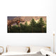 Profile Carnivorous Tyrannosaurus Rex Wall Decal