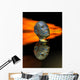 Discovering Secrets Mind Space Wall Decal