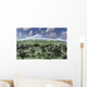Herd Albertaceratops Grazing Distant Wall Decal