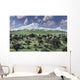 Herd Albertaceratops Grazing Distant Wall Decal