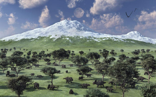 Herd Albertaceratops Grazing Distant Wall Decal