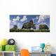 Herd Albertaceratops Grazing Wall Decal