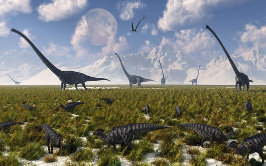 Group Sauropod and Hadrosaur Wall Decal