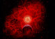 Supernova Destroying Itself Small World Wall Decal