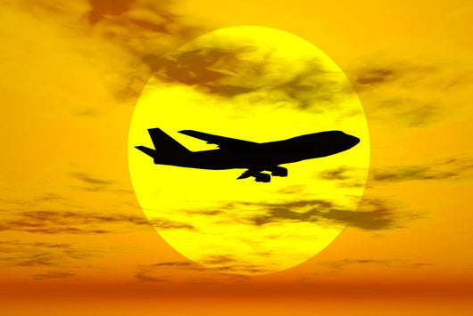 Silhouette Boeing 747 Jet Wall Decal