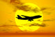 Silhouette Boeing 747 Jet Wall Decal
