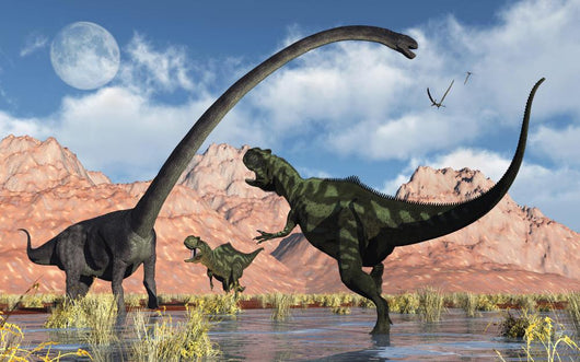 Pair Yangchuanosaurus Dinosaurs Confront Pond Wall Decal