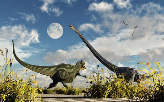Yangchuanosaurus Dinosaur Confronting Omeisaurus Wall Decal