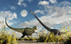 Yangchuanosaurus Dinosaur Confronting Omeisaurus Wall Decal