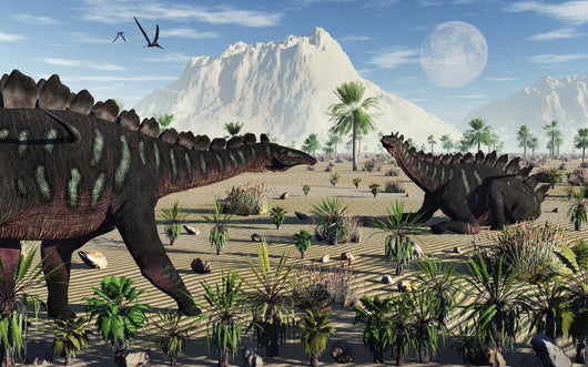 Pair Stegosaurid Miragaia Dinosaurs Wall Decal