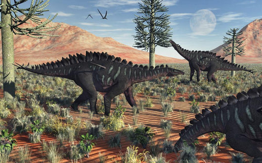 Small Group Stegosaurid Miragaia Wall Decal