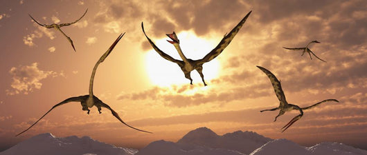 Flock Giant Quetzalcoatlus during Wall Decal