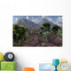 Lone Carnivorous Juravenator during Wall Decal