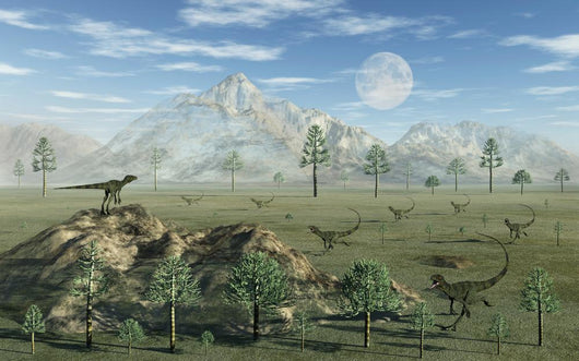 Pack Carnivorous Juravenators during Wall Decal