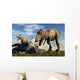 Pair Tyrannosaurus Rex Dinosaurs Wall Decal