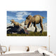 Pair Tyrannosaurus Rex Dinosaurs Wall Decal