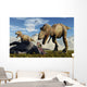 Pair Tyrannosaurus Rex Dinosaurs Wall Decal
