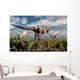 Hungry Tyrannosaurus Rex Chasing Wall Decal