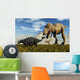 Tyrannosaurus Rex Dinosaurs Confronting Wall Decal