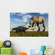 Tyrannosaurus Rex Dinosaurs Confronting Wall Decal