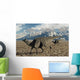 Pair Velafrons Hadrosaurid Dinosaurs Wall Decal