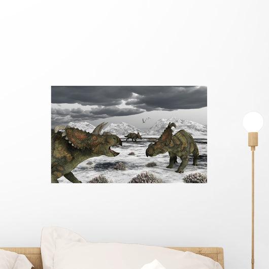 Albertaceratops during Their Winter Close-up Wall Decal