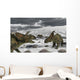 Albertaceratops during Their Winter Close-up Wall Decal