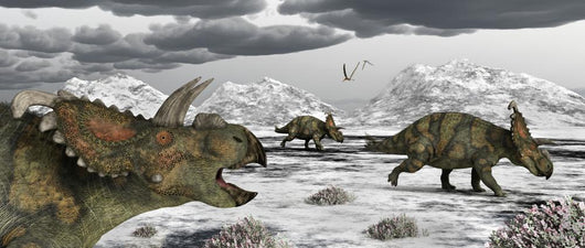 Albertaceratops during Their Winter Wall Decal