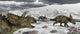 Albertaceratops during Their Winter Wall Decal
