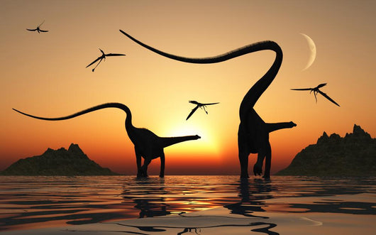 Pair Diplodocus Dinosaurs during Wall Decal