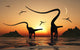 Pair Diplodocus Dinosaurs during Wall Decal