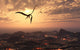 Pair Giant Quetzalcoatlus Flying Wall Decal