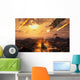 Falling Asteroid and Meteorites Wall Decal