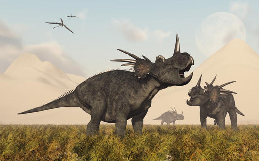 Styracosaurus Dinosaurs Calling out Wall Decal