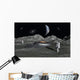 Apollo Astronauts Discover Ufo Wall Decal