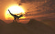 Carnivorous Allosaurus Calling out Wall Decal