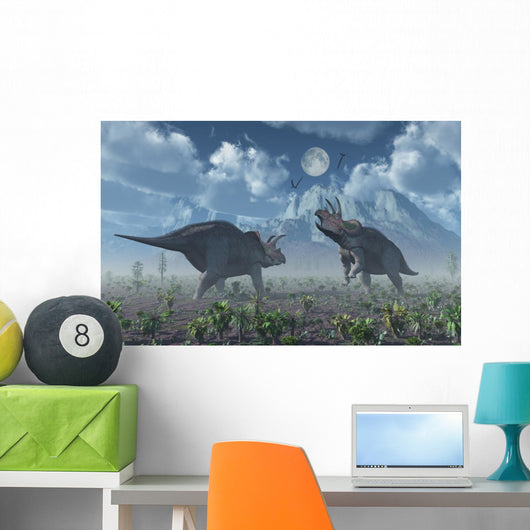 Territorial Confrontation between Two Wall Decal