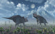 Territorial Confrontation between Two Wall Decal