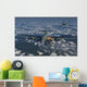 B-17 Flying Fortress Being Wall Decal