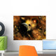 Nebulous Star System Distant Wall Decal