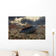 Artist Concept Roswell Incident 1 Wall Decal